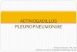 ACTINOBACILLUS PLEUROPNEUMONIAE · 2018. 5. 25. · LPS Limpieza R libres Prot de rta a estrés: DnaK y Factor disparador Amoniaco prod x hidrólisis urea ... En superficie de corte