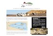 EP flyer español DIGITAL - El Pedral...Los lobos y elefantes marinos La costa que rodea Punta Ninfas es elegida por estos mamíferos marinos. Al igual que a nuestros vecinos IOS pinguinos,