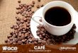 CAFÉ · 2019. 12. 4. · Piense en el café que compra para preparar en casa. ¿Cuál es la marca de café que prefiere?* 9 n=405 NESCAFÉ (DOLCA O CLÁSICO) LEGAL (SOLUBLE O DE