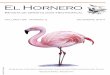 El Hornero · 2019. 1. 24. · 2014 ORNITOLOGÍA VIRTUAL 51 NEO Y PALEOORNITOLOGÍA VIRTUAL CLAUDIA P. TAMBUSSI1,3, FEDERICO J. DEGRANGE1 Y GERMÁN TIRAO2 1 Centro de Investigaciones