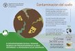 Contaminación del suelo · 2021. 2. 9. · Contaminación del suelo El incremento en compuestos tóxicos (metales pesados, pesticidas, etc.) en suelos afecta a la salud humana y/o