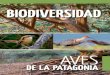 BiodiVeRSidad - Bosques Nativos Argentinos...de loros más grande del mundo. El majestuoso cóndor, el ave voladora más grande de la tierra, es otra de las especies que deberíamos