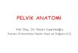 pelvik anatomi Hacer (2) - Ürojinekoloji Derneği anatomi...fascia pelvis, which attaches the vagina to the aponeurosisof the levator ani. Level III The urogenital diaphragm and the