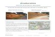 Informe de proyecto ejecutado - Naturalea · 2018. 7. 7. · Informe de proyecto ejecutado Protección del talud del Parque de la Serreta en Cardedeu (Bcn) Autor del proyecto: Naturalea