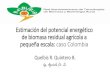 Estimación del potencial energético de biomasa residual agrícola … · 2020. 3. 28. · de biomasa residual agrícola a pequeña escala: caso Colombia Quelbis R. Quintero B. Ing
