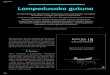 Lampedusako gutuna · 172 Oarso 2017 Lampedusako gutuna 2016ko abuztuan Mikelazulon antolaturiko Harresirik Gabeko Lurraldeak ekimeneko 14 lagun joan ginen Lampedusara