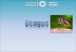 Dengue - Ministerio de Salud Pública de Tucumánmsptucuman.gov.ar/.../uploads/2020/03/charla-Dengue.pdfSala de Situación De Salud DENGUE •La infección sintomática por el virus