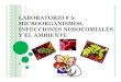 LABORATORIO # 5: MICROORGANISMOS, INFECCIONES ...lrios/3725/Ejercicio5.pdfColiformes Fecales - son un subgrupo de los coliformes totales, son de origen intestinal. Se denominan termotolerantes