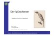 DKB Muenchener Ddkb-online.de/kanarienkunde/dkb_muenchener_d.pdf · Title: Microsoft PowerPoint - DKB_Muenchener_D.ppt Author: R389790 Created Date: 5/6/2008 8:17:38 AM