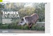 Esteros del Iberá, Corrientes, Argentina - “pantanos” TAPIRES EN … · 2017. 7. 19. · 32 · Revista EL PATO · NOVIEMBRE 2016 · elpatowebsite.com Revista El Pato 33 ECOLOGÍA