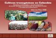 Cultivos transgénicos en Colombia - semillas · 2019. 9. 23. · Índice de tablas Tabla 1. El maíz transgénico en Colombia ..... 10 Tabla 2. Área mundial de cultivos transgénicos
