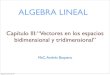 ALGEBRA LINEALrenatoshared.weebly.com/uploads/5/5/7/6/55764051/... · 2019. 11. 19. · ALGEBRA LINEAL MsC. Andrés Baquero Capítulo III: “Vectores en los espacios bidimensional