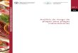 NIMF 11. Análisis de riesgo de plagas para plagas cuarentenarias · 2021. 2. 9. · La presente norma ofrece los detalles para la realización de un análisis de riesgo de plagas