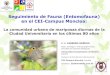 Seguimiento de Fauna (Entomofauna) en el CEI-Campus Moncloa … · 2014. 12. 5. · Seguimiento de Fauna (Entomofauna) en el CEI-Campus Moncloa: La comunidad urbana de mariposas diurnas