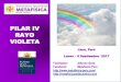 PILAR IV RAYO VIOLETA - Metafísica · 2020. 2. 28. · Vicios del Rayo Violeta Jerarquías del Rayo Violeta La Llama Violeta es una energía radioactiva capaz de alterar su entorno