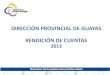 DIRECCIÓN PROVINCIAL DE GUAYAS RENDICIÓN DE CUENTAS · 2017. 1. 24. · En la Provincia de Guayas contamos con el Área de Estadística, quienes reportan periódicamente a las autoridades