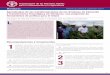 Honduras Informe de política - Septiembre 2014ta el 2014 en el Plan Estratégico para el Sector Hondureño Agroalimentario 2010-2014 (PEAGROH) y se acuerda prepa-rar el Plan de Inversión