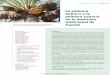 UCL Discovery - UCL Discovery - La palmera datilera y la ...68 Revista de Fitoterapia 2014; 14 (1): 67-81 a tamareira e a palmeira das ilhas canárias na medicina tradicional de espanha