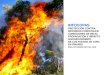 INFOCOPAS...Frecuentemente se asocian a los grandes incendios forestales (> 500 ha), que siendo únicamente un 0.2% del número total de incendios, suponen un 41% de la superficie