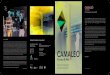 cuadriptico museo abello · 2017. 12. 18. · L’exposició Camaleó re˛ecteix el llenguatge artístic que Varvara & Mar solen fer servir en les seves obres: llum, cinètica, interacció,