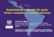 Sostenibilidad ambiental del sector minero: evaluación y … · 2018. 6. 19. · Sostenibilidad ambiental del sector minero: evaluación y recomendaciones Carlos de Miguel Jefe,