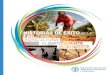 Historias de éxito de la FAO sobre adricultura climáticamente ...Esta publicación aporta ejemplos de sistemas climáticamente inteligentes, mostrando historias de éxito de la FAO