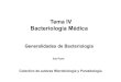 Tema IV Bacteriología Médica - sld.cuuvsfajardo.sld.cu/sites/uvsfajardo.sld.cu/files/i_gener... · 2018. 5. 3. · Vómitos, diarreas, palidez, dolor abdominal o calambres, colapso