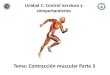 Tema: Contracción muscular Parte 3 - WordPress.com · 2020. 6. 11. · Contracción muscular • Es un proceso fisiológico desarrollado por los músculos cuando, según la tensión,