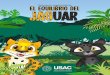 Guía para capacitadores JAGUArcdc.usac.edu.gt/wp-content/uploads/2020/12/Guia-Equilibrio-jaguar-USAC2020.pdfcionistas (Cecon) de la Facultad de Ciencias Químicas y Farma-cia y la
