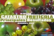 CA T ASTRO FRUTÍCOLAbibliotecadigital.ciren.cl/.../2192/cfpr06_2003.pdf · 2021. 3. 9. · La presente publicación muestra un incremento de un 13% en las plantaciones frutícolas