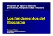 Los fundamentos del Programa - Gob · 2008. 7. 17. · a) Las MYPEs en el Perú b) La informalidad en el Perú y el mundo c) El perfil del sector empresarial peruano 2. Los fundamentos