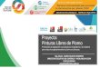 Proyecto: Pinturas Libres de Plomo - CDC MINSA...Proyecto Regional Pinturas Libres de Plomo: Propuesta de Proyecto de Ley (1/3): Participación y vinculación de actores claves. Sensibilización