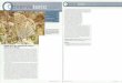 mariposasdemalaga.webnode.es · 2012. 7. 28. · torio 'la Noticiario Hierbas Comunes Hinojo Ciencia a pie de Calle Extinciones fantasmas Cuaderno de Campo Bassin d'Arcachon 44 46