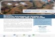 30% - CITOPIC Andalucía Oriental · 2019. 10. 14. · Curso Online Modelado Hidrológico de Avenidas de Inundación con HEC HMS y HEC GeoHMS Hec HMS es un programa de software libre