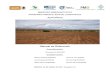 Agriculturapmcarbono.org/pmc/descargas/manuales/Manual_Inventario... · 2016. 1. 19. · Programa Mexicano del Carbono, 2011, Manual de Referencia para el Muestreo Semicuantitativo