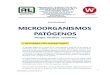 New Serie: Microbiología MICROORGANISMOS PATÓGENOS · 2021. 3. 11. · 3 West Analítica y Servicios S.A. de C.V. 1.“Marchitamiento” como consecuencia de la invasión de los