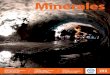 Minerales · 2020. 9. 30. · Auspicios: Myriam Mardones C. Secretaria: Janet Gatica R. y Carmen Orellana V. Diseño: Patricia Sougarret A. edición 294 Septiembre 2020 REVISTA INSTITUTO