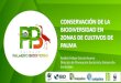 Presentación de PowerPoint · 2018. 6. 8. · Catálogo de especies AVC en áreas de estudio del PPB en zonas norte y oriental (2018) Diseño de predios palmeros