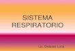 Sistema respiratorio€¦ · Esquema de la Respiración Externa O2 inspirado Pulmones Alveolos por los hasta Capilares En contacto oxigeno Anhídrido carbónico Co2 espirado . Funciones