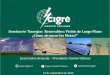 Seminario Energías Renovables: Visión de Largo Plazo ¿Cómo alcanzar las Metas? · 2016. 9. 21. · ¿Cómo alcanzar las Metas? Juan Carlos Araneda –Presidente Comité Chileno