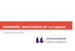 ERASMUS: Universidad de La Laguna...- Física Galáctica - Física Extragaláctica - Instituto de Astrofísica de Canarias (IAC) - Profs - Observatorio del Teide, Observatorio del