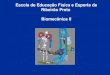 Escola de Educação Física e Esporte de Ribeirão Preto ......Esporte Ortopedia e Instrumentação e Traumatologia Métodos Modelagem e Simulação Computacional Músculo-esquelética