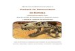 SONORA: TIERRA DE gIGANTES!! - Internet Archiveia902503.us.archive.org/24/items/DinosGuiaTuristica... · 2014. 6. 9. · Descubre el maravilloso mundo de los dinosaurios, organismos