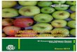 Caracterizaci n manzanos 2014.doc)...Además de los frutos, en los manzanos registrados como Pajarita en el Centro de Conservación de la Biodiversidad Agrícola de Tenerife (CCBAT),