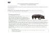 Colegio Tecnologico Pulmahue basico... · Web viewEl texto “El hipopótamo” es: a. Una noticia. b. Un afiche. c. Un cuento. d. Un texto informativo. 2. El objetivo de este texto
