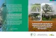 Implementando estrategias de adaptación al cambio climático con productores ganaderos · 2020. 2. 25. · El manejo sostenible del suelo, CLAVE PARA ADAPTARNOS AL CAMBIO CLIMÁTICO