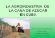 LA AGROINDUSTRIA DE LA CAÑA DE AZÚCAR EN CUBA · 2016. 8. 21. · Desarrollar la producción de caña para azúcar en los suelos aptos sin superar los 700 Mha. Mantener sólo los