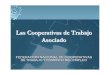 Las Cooperativas de Trabajo Asociado...Las Cooperativas de Trabajo Asociado en el Perú 1. Existen 38 Cooperativas de Trabajo Asociado. 2. Comprenden a más de 50 mil miembros y un