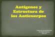 Antígenos y Estructura de los Anticuerpos - fmed.edu.uyweb.fmed.edu.uy/sites/ · 2020. 6. 2. · Secreción de Acs en bazo, ganglios, MALT y médula ósea; Tipos de antígenos de