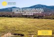 PÉRDIDA DE LA COBERTURA NATURAL (1986-2019) Y ......El área de cobertura natural no boscosa (p.ej., vegetación del cerrado, chaparra les del abayoy, lajas, sabanas naturales y arboladas),